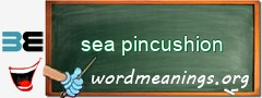 WordMeaning blackboard for sea pincushion